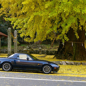 ロードスター NA8C