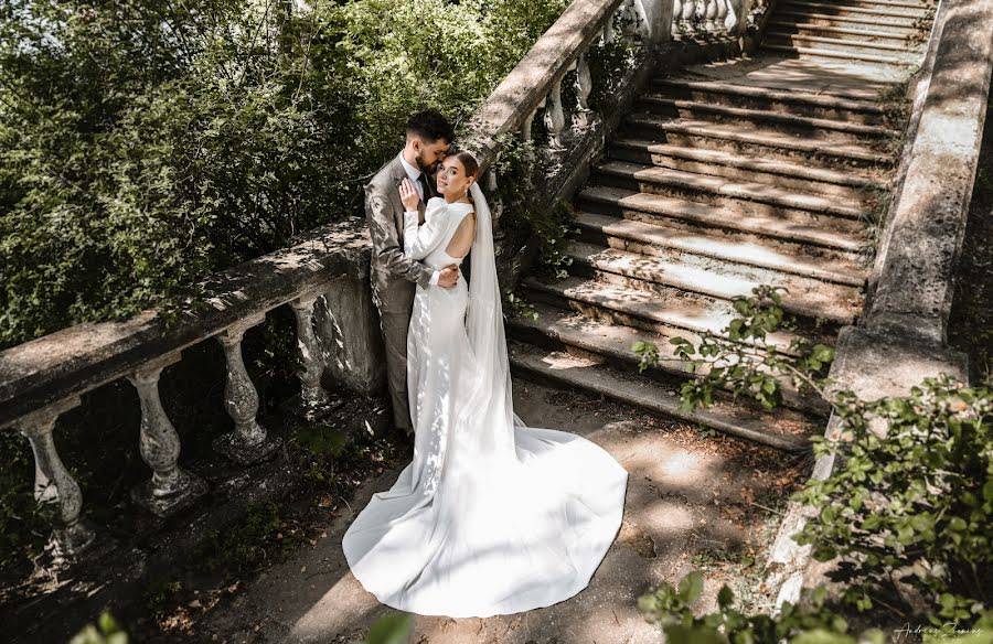 Wedding photographer Andrius Zienius (zieniusfoto). Photo of 20 November 2023