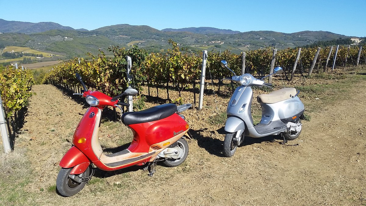 Two vespa standing in front of a vineyard