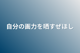 自分の画力を晒すぜ☆