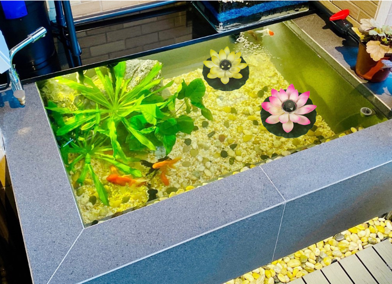 Ornamentos Decorativos Flutuantes para Piscinas com Luzes Paisagísticas Crie um ambiente relaxante e charmoso em sua área de lazer aquática com facilidade