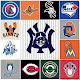Guess Baseball Logo icon