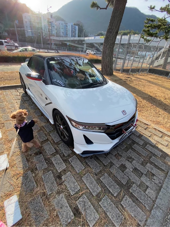 S660の新年のご挨拶・S660・愛犬とドライブ・鬼滅の刃・竈門禰豆子に関するカスタム事例の投稿画像4枚目