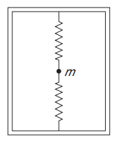 Spring-mass system