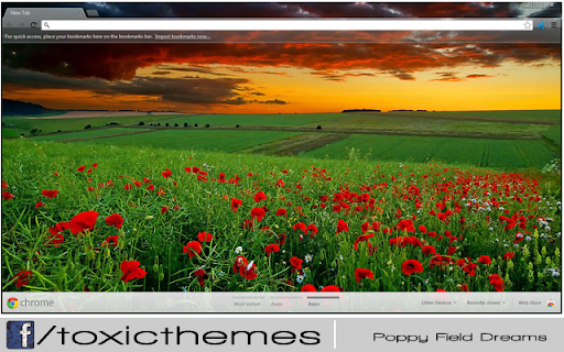 Poppy Field Dreams