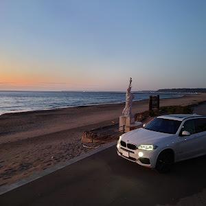 X5 F15