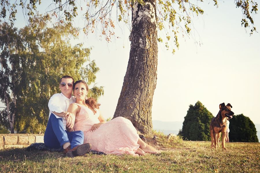 Fotógrafo de casamento Pavle Randjelovic (randjelovic). Foto de 12 de outubro 2015