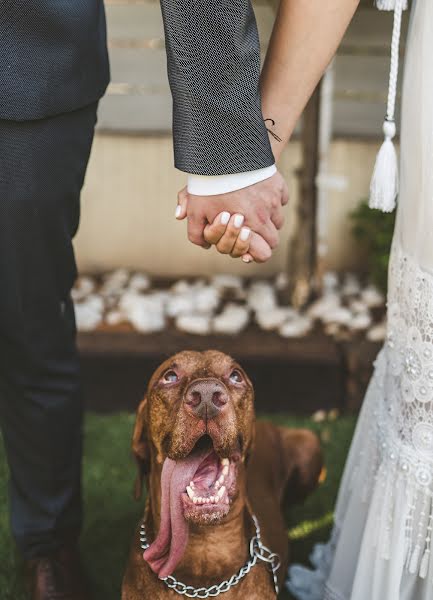 Wedding photographer Dima Vazinovich (d3sh1). Photo of 2 October 2019