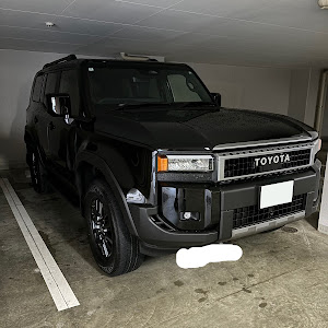 ランドクルーザー250 TRJ250W