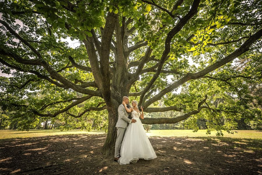 Fotógrafo de bodas Stefan Dorna (dornafoto). Foto del 21 de noviembre 2019