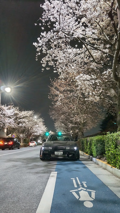 シビックタイプRのサクラと愛車・過去の思い出・S13シルビア・シャリーに関するカスタム事例の投稿画像5枚目