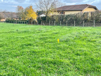 terrain à Saint-Cyr-sur-Menthon (01)