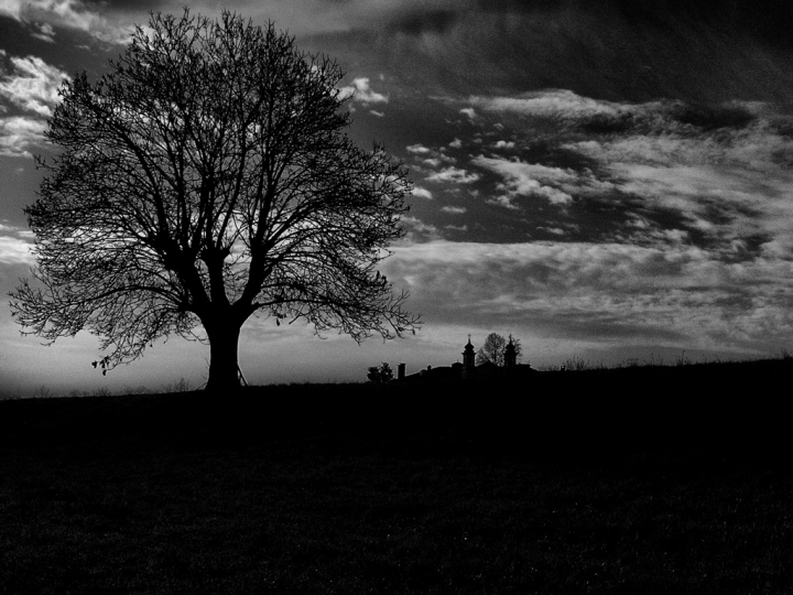 Solitaire tree di alessandroaccossato