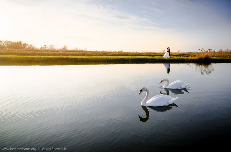 Fotografer pernikahan Vasiliy Shevchuk (shevchuk). Foto tanggal 3 Maret 2016