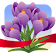 Spring Photo Frames icon