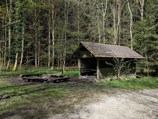 Cabin in the Woods