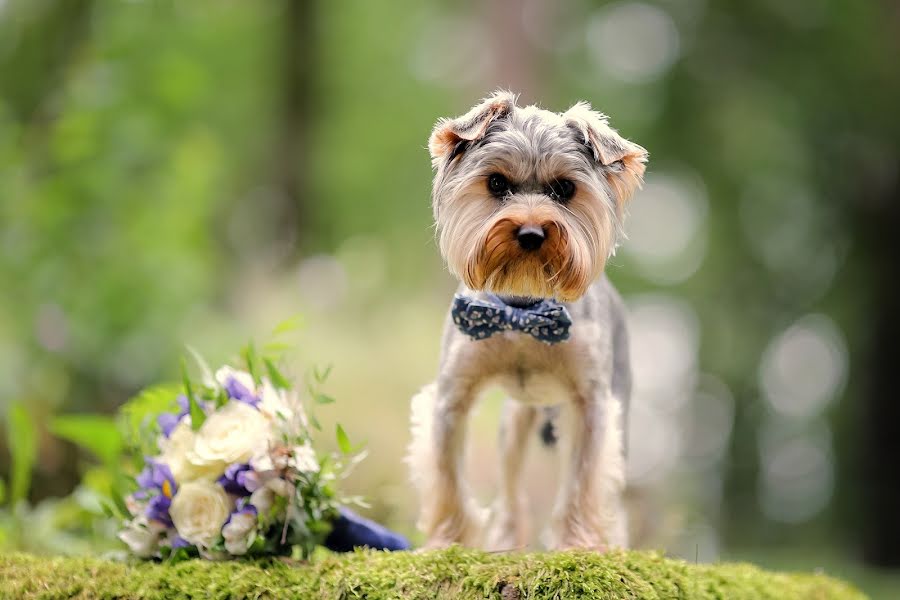 Fotógrafo de bodas Veronika Koroleva (verofotonika). Foto del 28 de marzo 2018