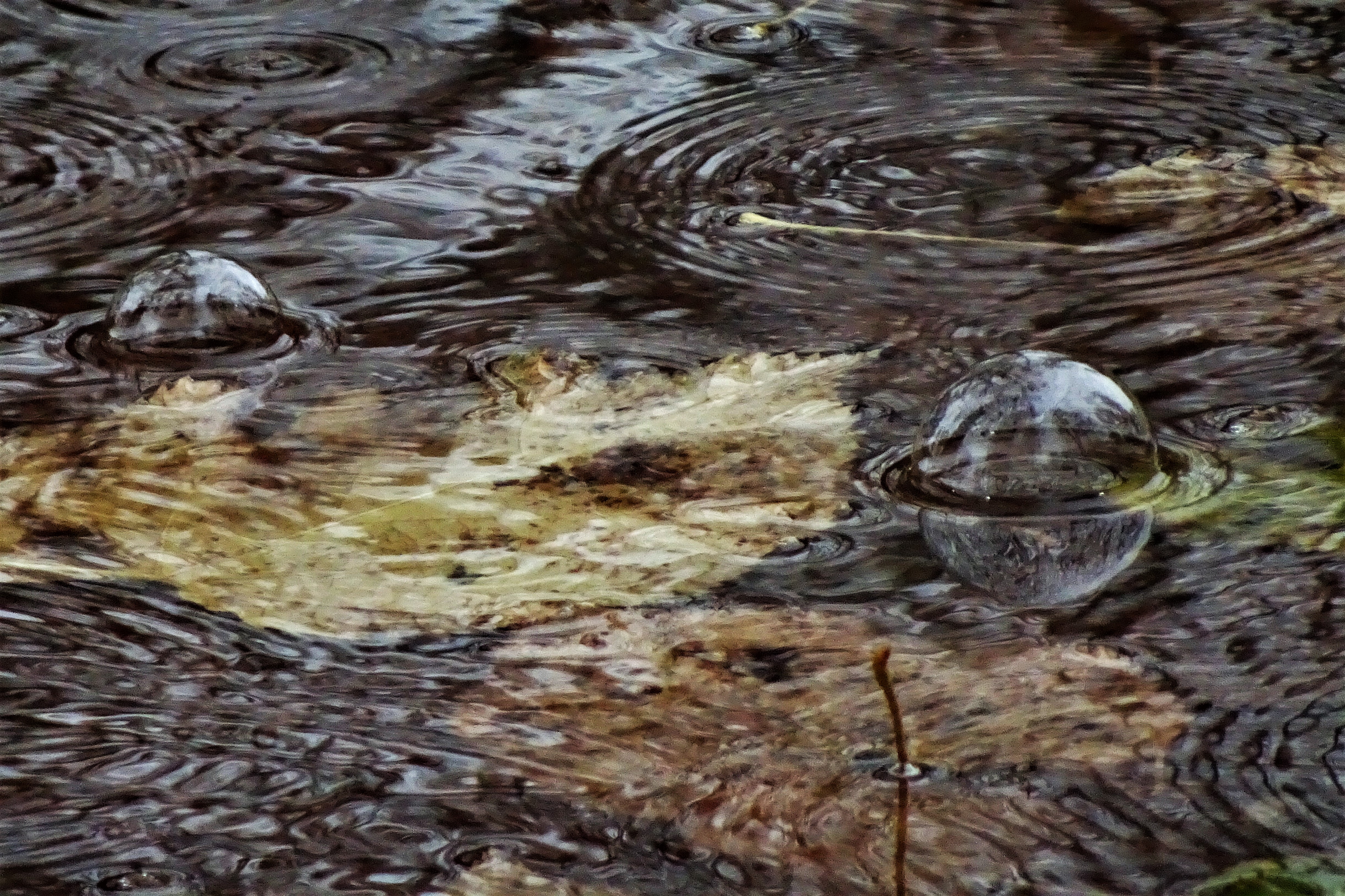 Bolle di acqua di onder1319