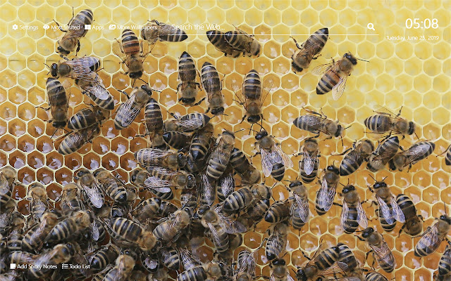 Bees Wallpaper HD Nieuw tabbladthema