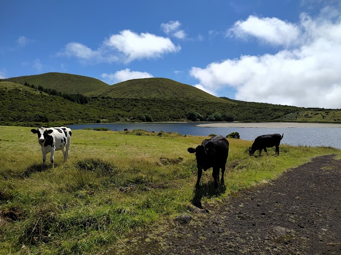 AZORES, 5 ISLAS POR UN PELO: PICO, SÃO JORGE, FAIAL, FLORES Y CORVO - Blogs de Portugal - PICO: BALLENAS Y LAGUNAS (18)