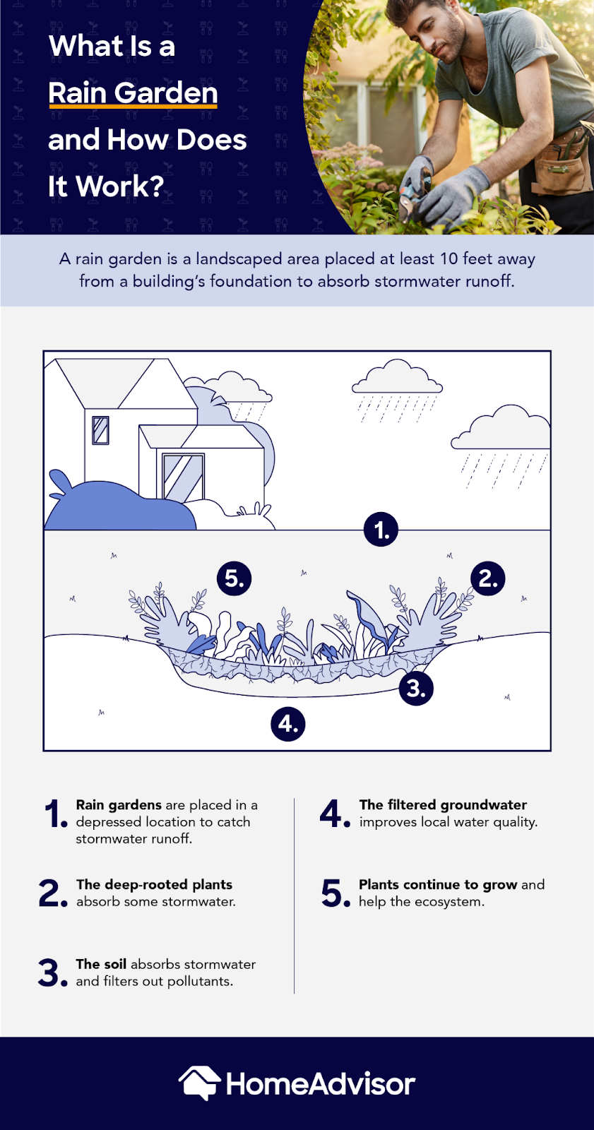 How to Create a Rain Garden