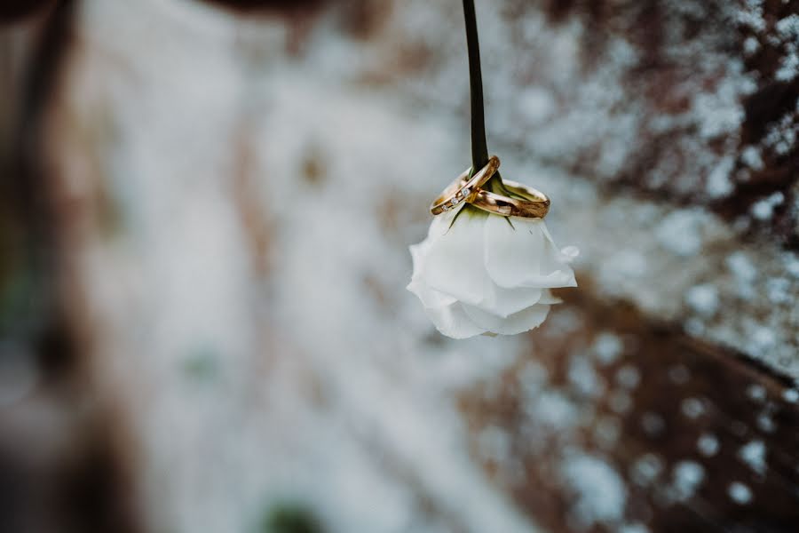 Wedding photographer Alena Und René (alenaundrene). Photo of 22 July 2018