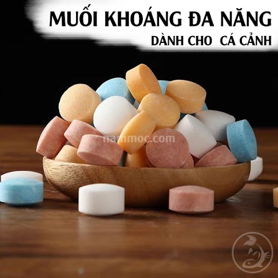 Muối Khoáng Đa Năng [100 Gram] - Hỗ Trợ Nuôi Dưỡng Cá Cảnh