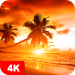 Cover Image of Скачать Sunset Wallpapers 4K 5.0.56 APK