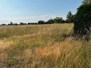 terrain à Saint marcel (71)