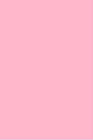 12 Warna Pink Salem  Background Rudi Gambar