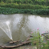 永安61庭園咖啡(生態農場)