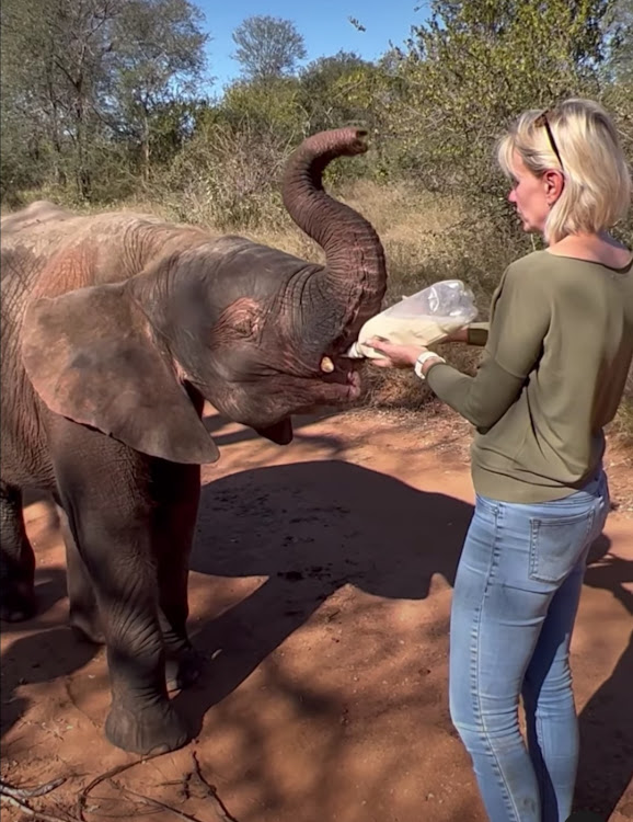 Khanyisa the baby albino elephant's special bottle feed costs about R460 a time.