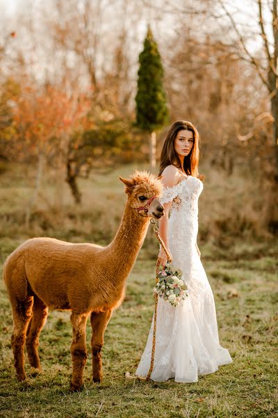 Wedding photographer Zuzanna Osowska (zuzannaosowska). Photo of 1 March 2023