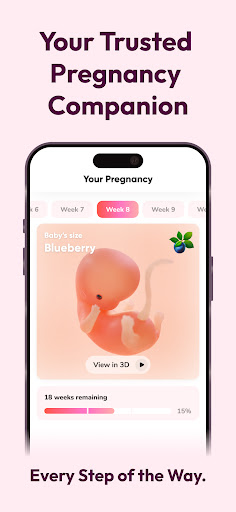 Screenshot WeMoms Pregnancy Baby Tracker