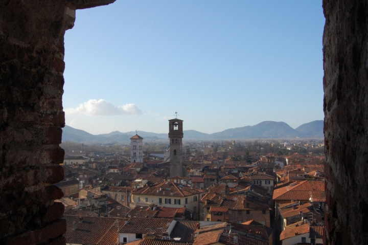 Campanile di Lucca di enrrico63