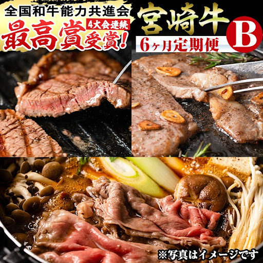 【ふるさと納税】宮崎牛定期便＜Bセット＞