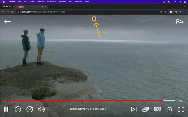 Netflix IMDB chrome extension