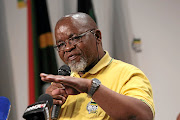 ANC    secretary-general  Gwede Mantashe  told  delegates at  the Western Cape general council that   the party needed to fix its problems.  / Alaister Russell