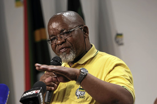 ANC secretary-general Gwede Mantashe told delegates at the Western Cape general council that the party needed to fix its problems. / Alaister Russell