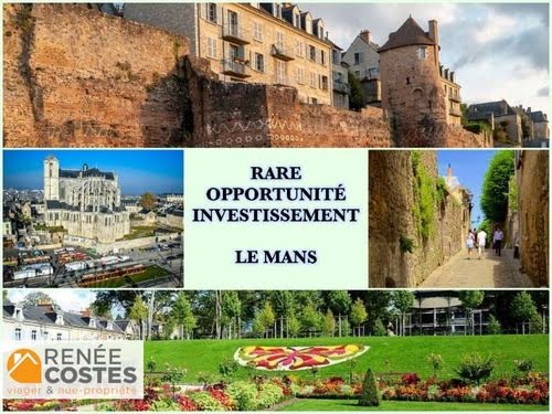 Vente viager 3 pièces 64 m² à Le Mans (72000), 35 000 €