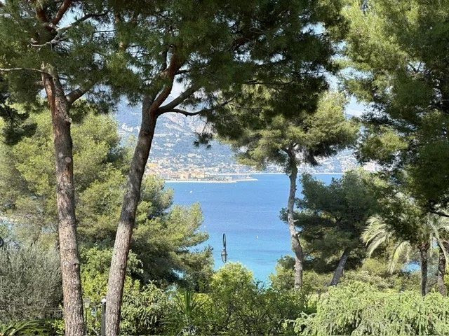 Vente maison 5 pièces 230 m² à Roquebrune-Cap-Martin (06190), 5 400 000 €