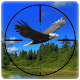 Download Bird Hunter America For PC Windows and Mac 1.0.0