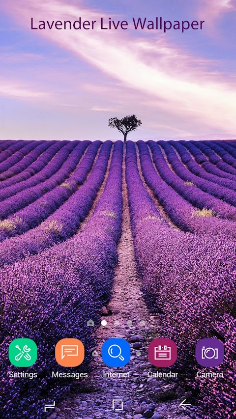 Lavender Live Wallpaper HDのおすすめ画像1