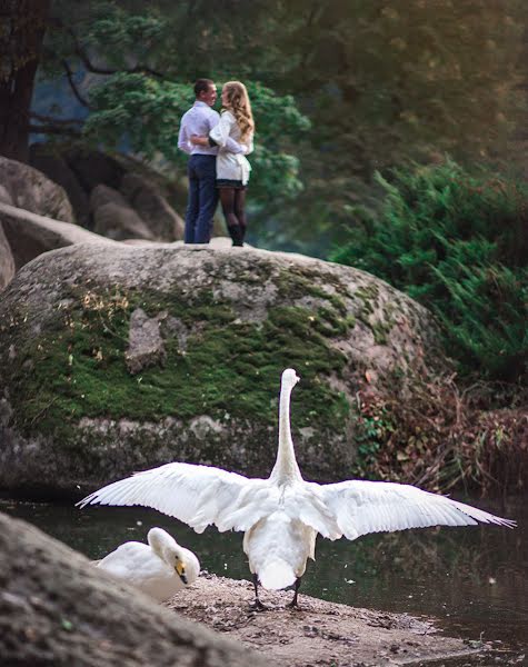 Wedding photographer Vitaliy Zdrok (devilsplinter). Photo of 19 October 2015