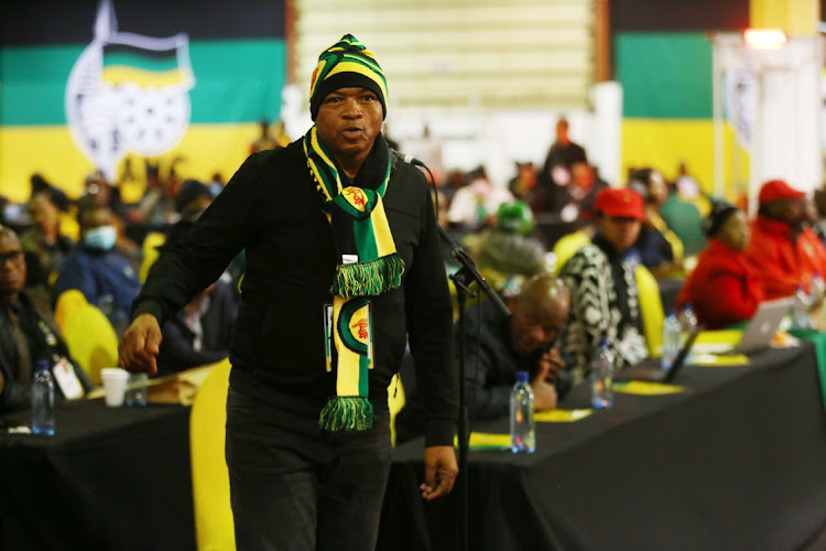 ANC member Supra Mahumapelo.