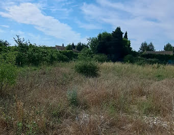 terrain à Monteux (84)