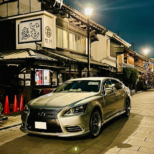 LS UVF46