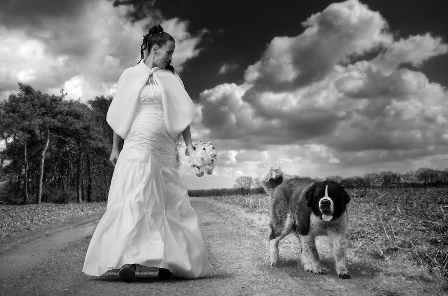 Fotógrafo de casamento Darko Ocokoljic (darkoni). Foto de 16 de abril