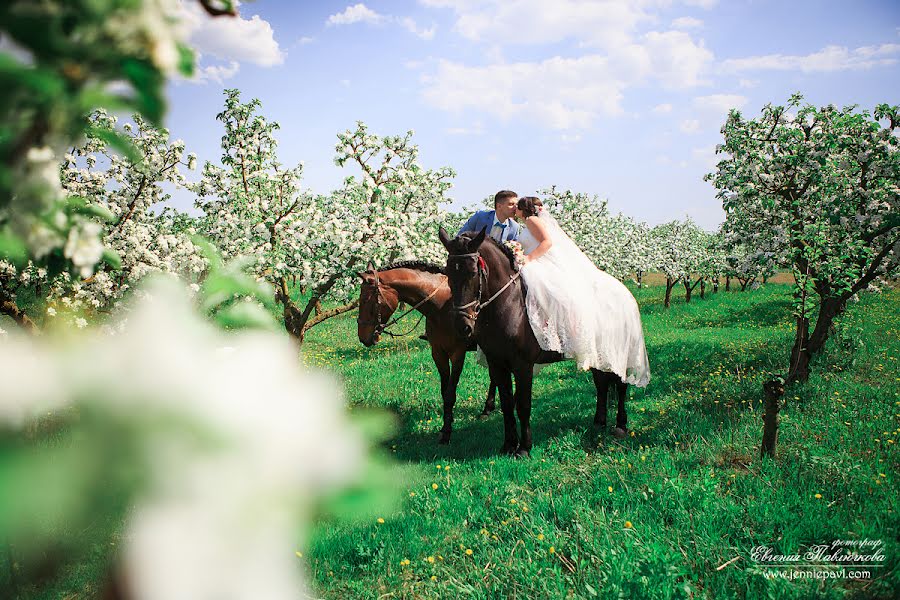 Photographe de mariage Evgeniya Pavlyuchkova (jennie). Photo du 28 août 2018