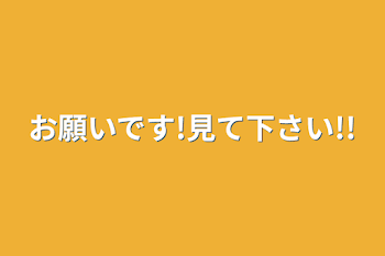 お願いです!見て下さい!!